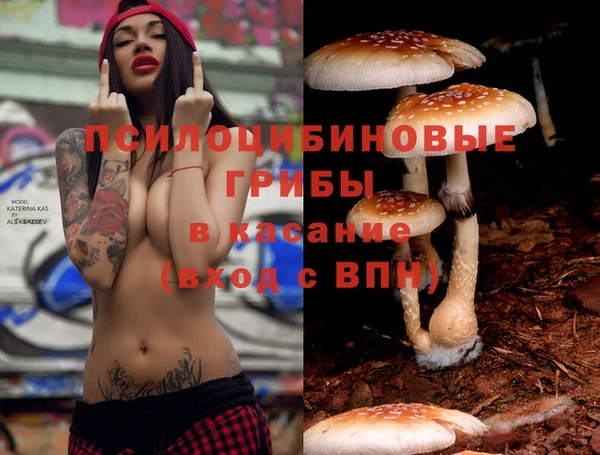 экстази Аркадак