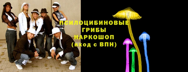 молекула духа Арсеньев
