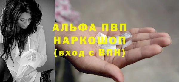 сатива Армянск