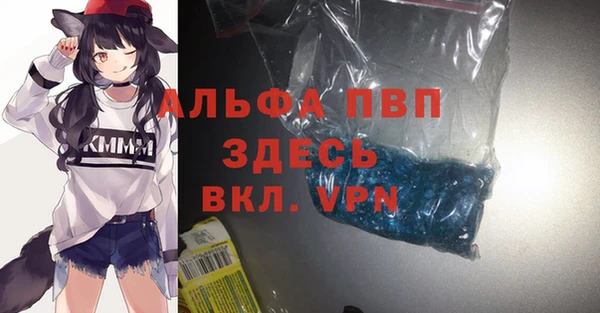 молекула духа Арсеньев