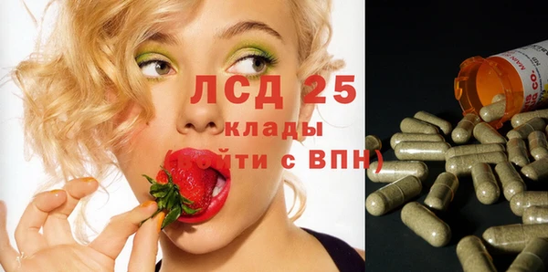 молекула духа Арсеньев