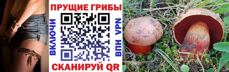 Галлюциногенные грибы Psilocybe  мега зеркало  Родники 